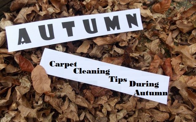 Autumn-Carpet-Cleaning-Tips-