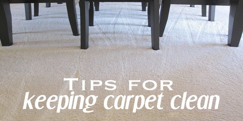 Best Tips & Ideas To Clean Your Carpet
