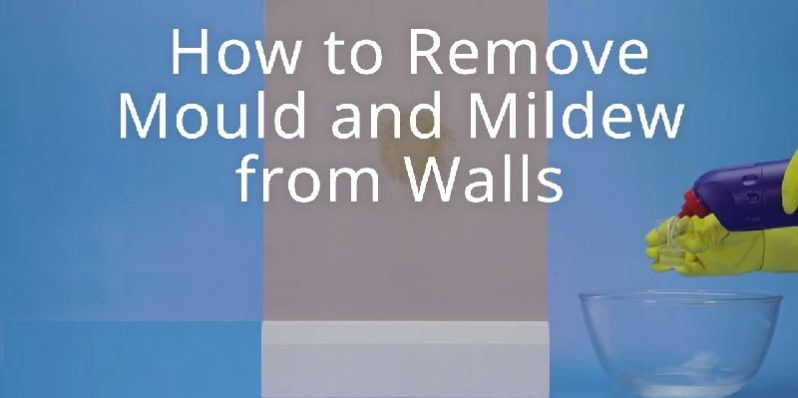 How to remove mould and mildew from walls