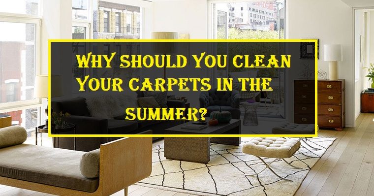 Why Should You Clean Your Carpets in the summer?